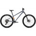 Welt Edge 1.0  29 2026