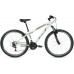 Altair Al 27,5 V 2021