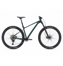 Giant Fathom 29 2 2021