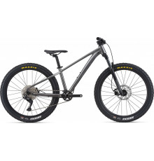 Giant Stp 26 2021