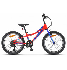 STELS Pilot 250 Gent 2021