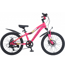 Tech Team Katalina 20" Disc 2021