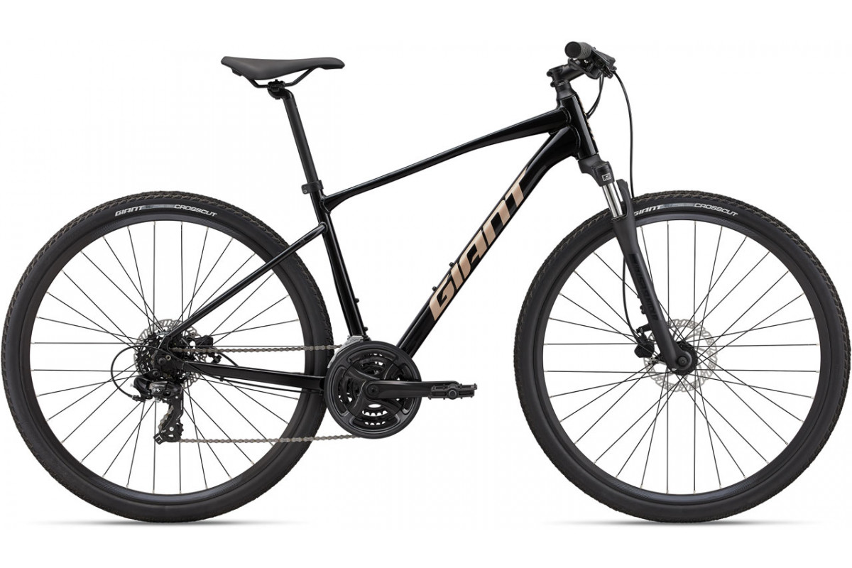 Giant Roam 4 Disc 2022
