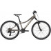 Giant Xtc Jr 24 2022