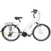 AIST Cruiser 2.0 W 26 2022