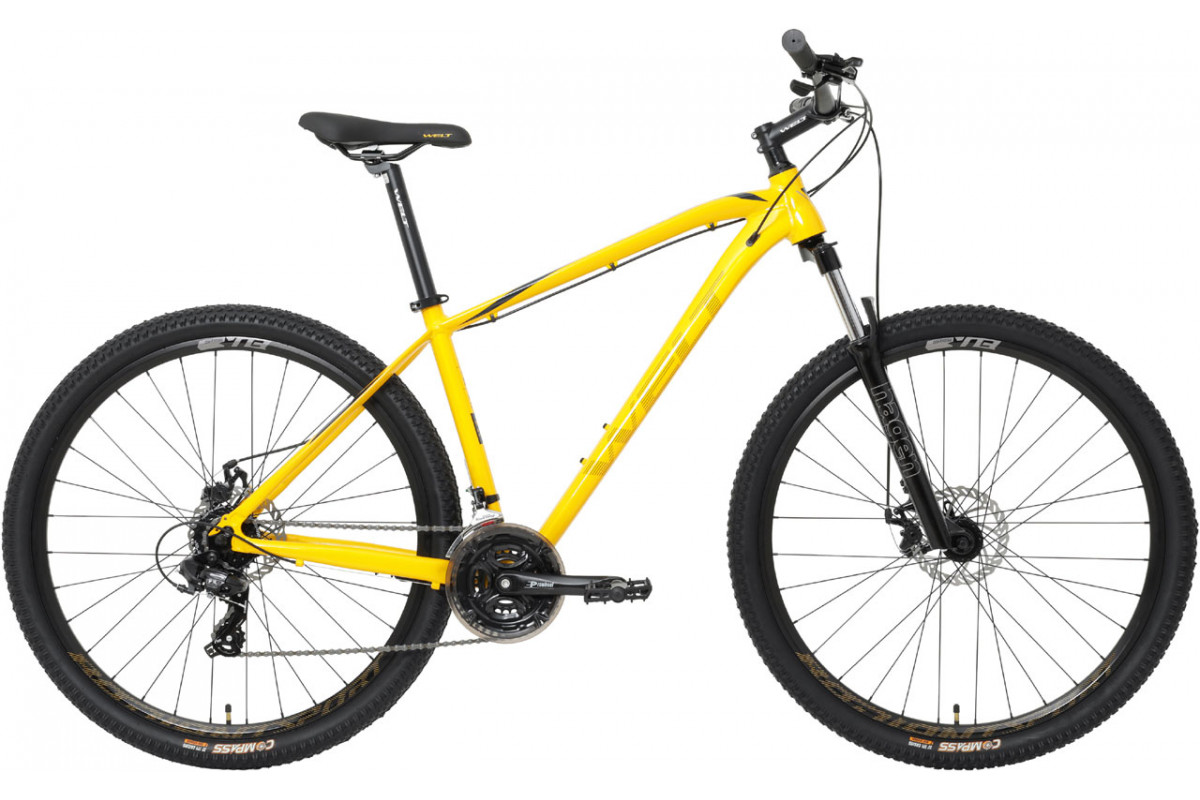 Welt Raven 1.0 D 29 2023