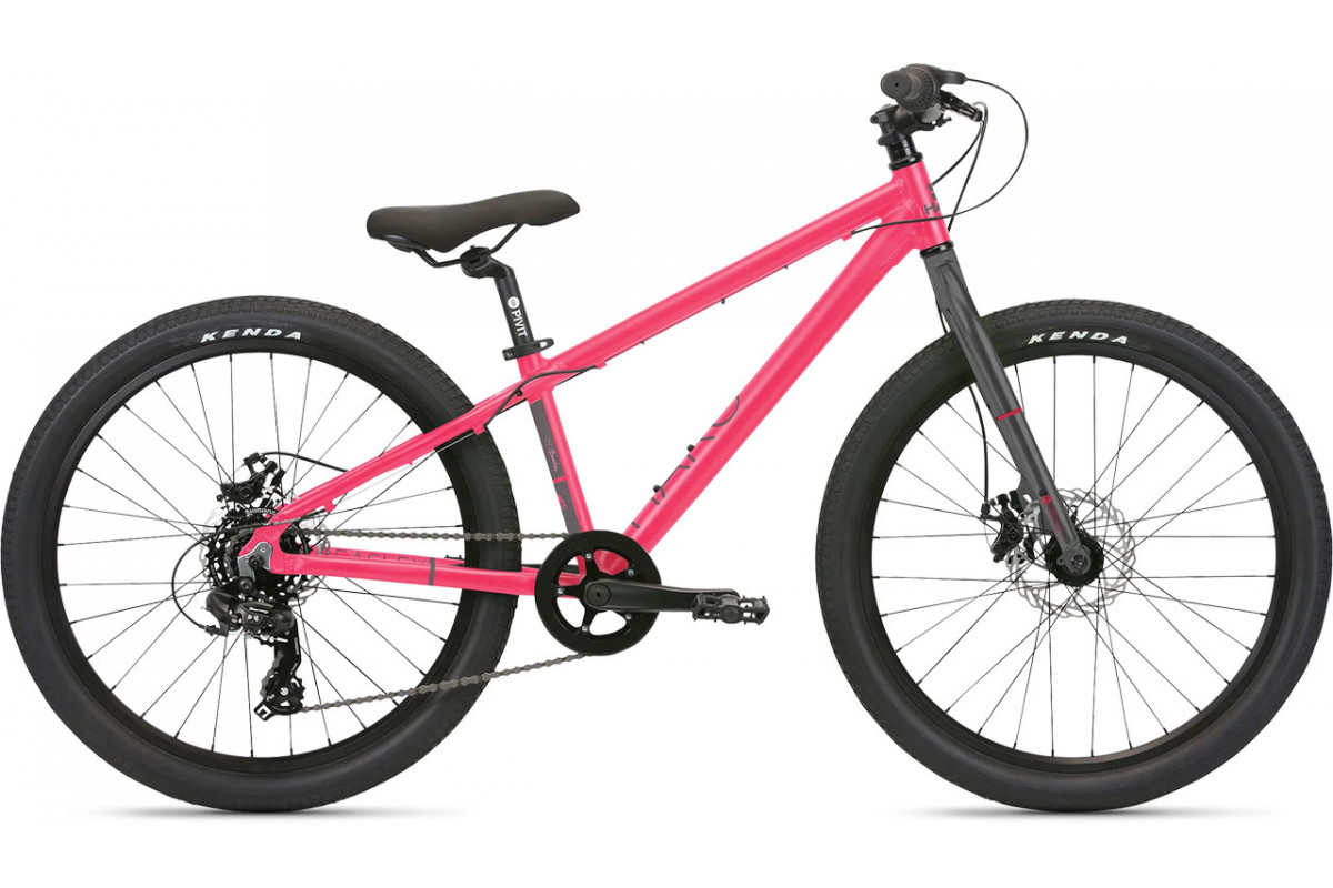 HARO Beasley 24 2021