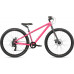 HARO Beasley 26 2021