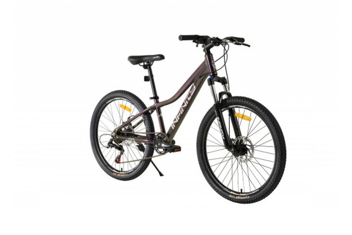 HAEVNER INFINITY 2024