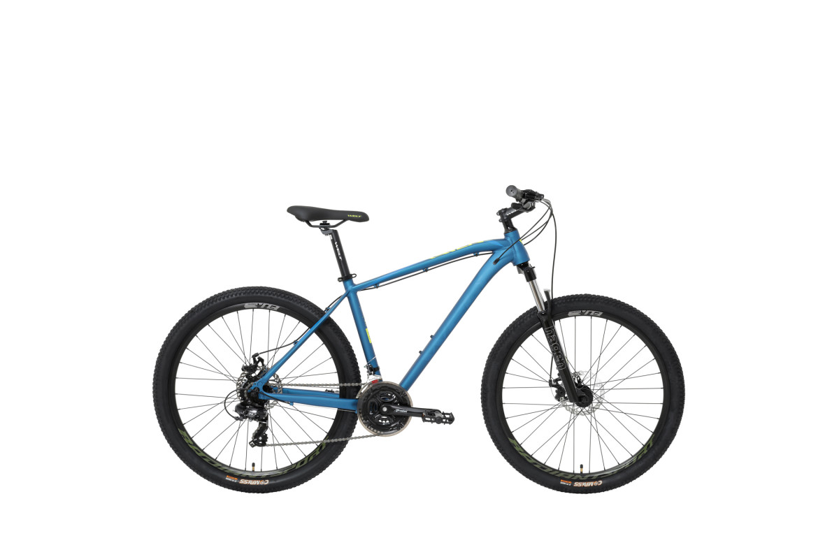 Welt Raven 1.0 D 27 2024