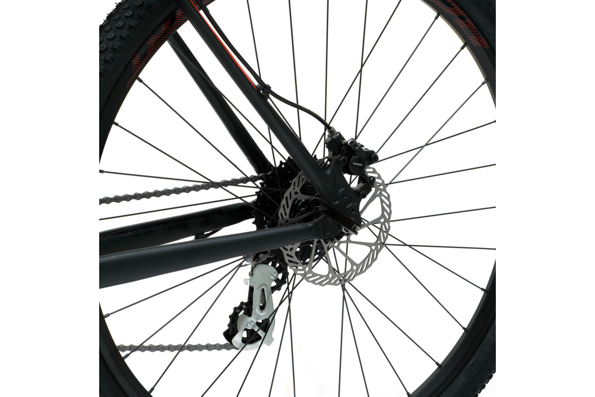 Welt Raven 2.1 HD 29 2024