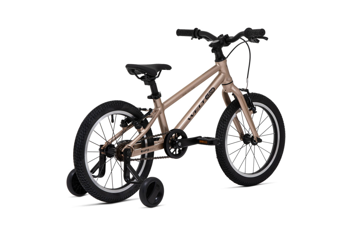 Welt Teddy 16 2026