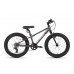 MAXISCOO 5Bike 20 2026