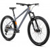 Welt Edge 1.0  29 2026