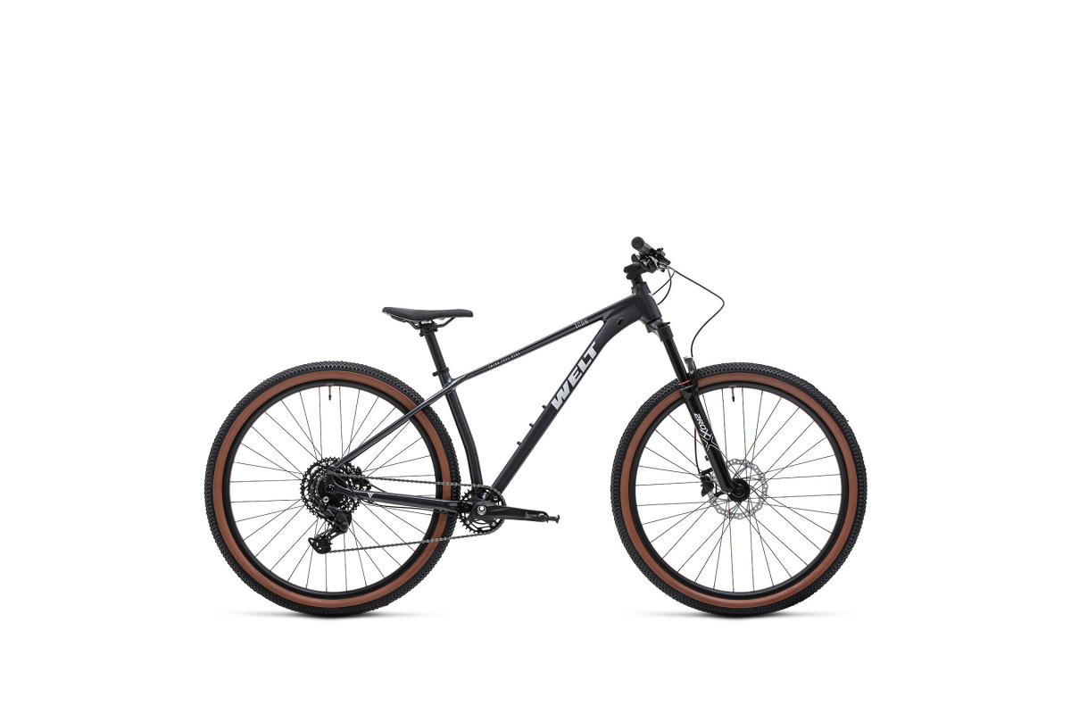 Welt Icon 2.0 29 2026